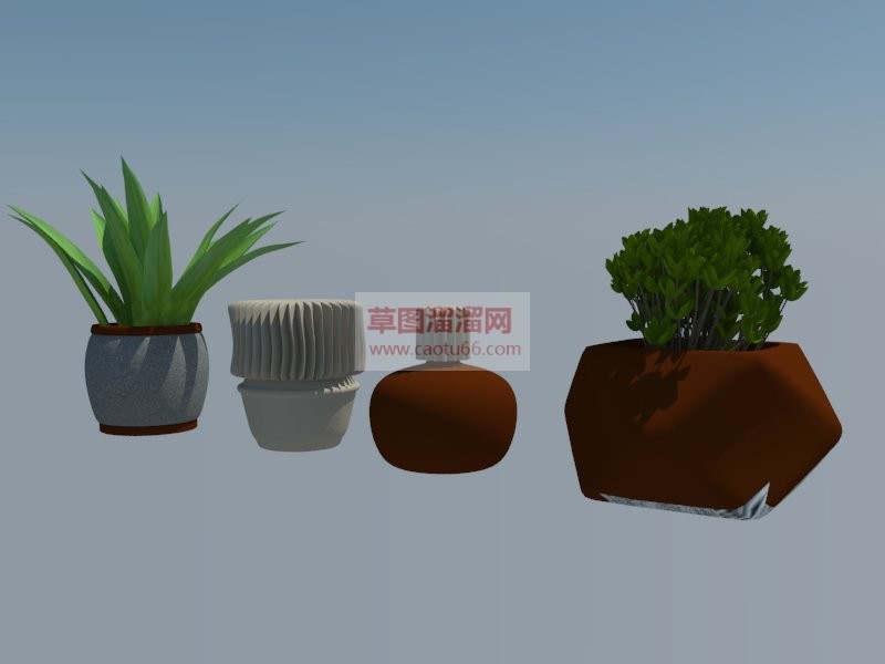 花盆植物SU模型