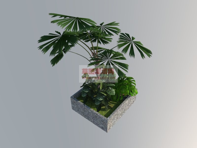 盆景盆栽植物SU模型