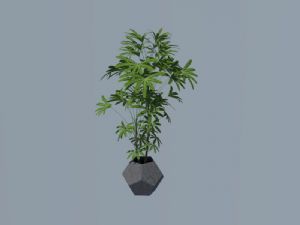 石质花盆盆栽SU模型