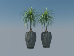 花盆植物盆栽SU模型
