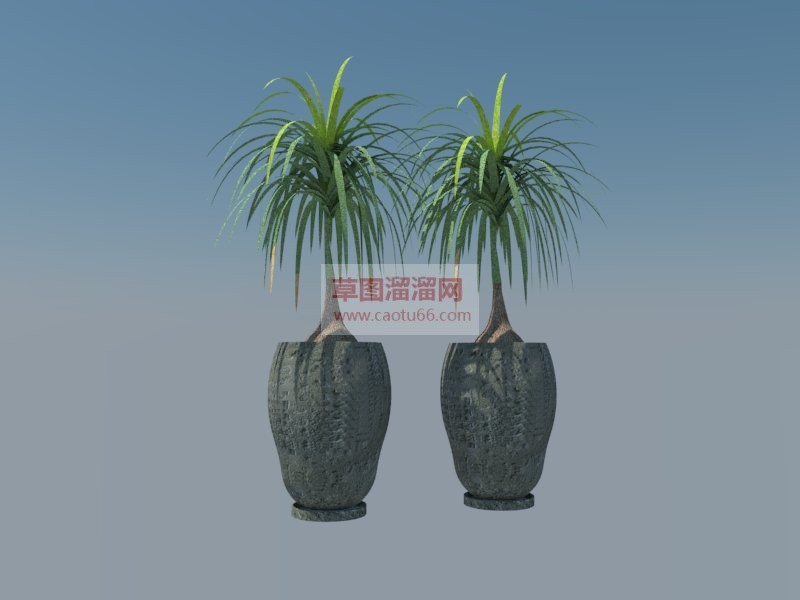 花盆植物盆栽SU模型