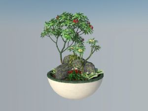 花盆盆景植物SU模型