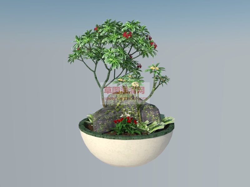 花盆盆景植物SU模型