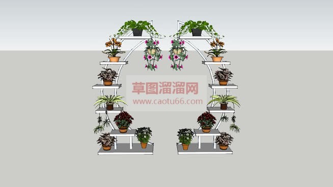 爱心形状植物SU模型