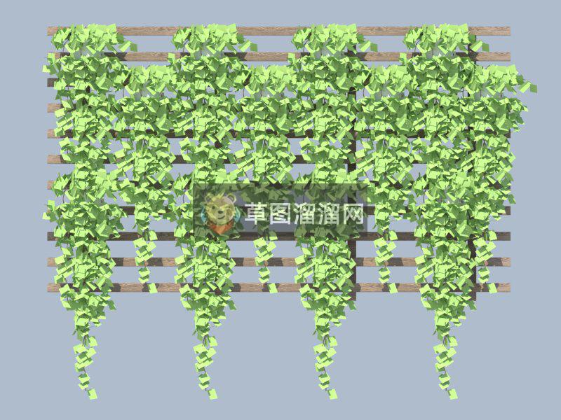 爬山虎SU模型
