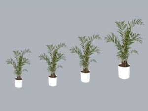 植物盆栽SU模型