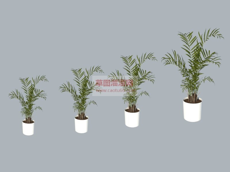 植物盆栽SU模型