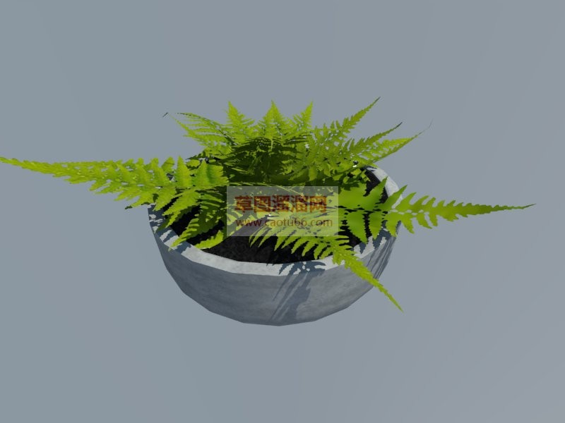 盆栽花盆植物SU模型