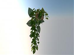 绿萝植物装饰SU模型