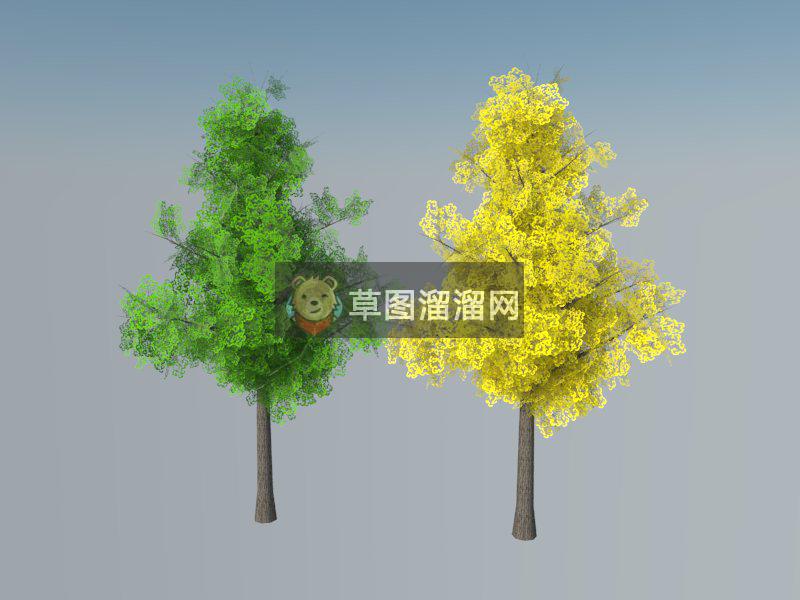 银杏树SU模型