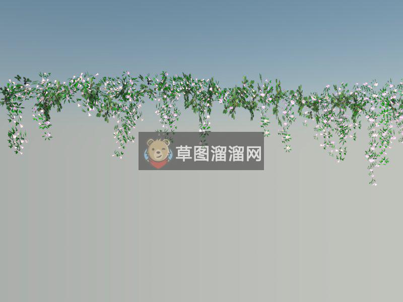 蔓藤牵牛花爬藤SU模型