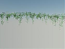 蔓藤牵牛花爬藤SU模型