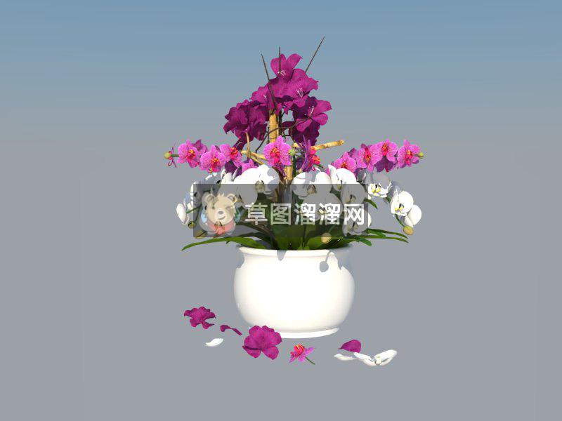 花盆花瓣盆栽SU模型