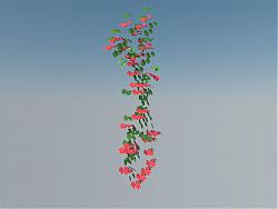 爬山虎藤蔓SU模型