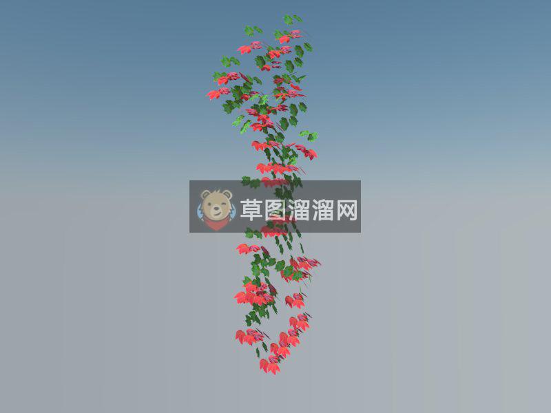 爬山虎藤蔓SU模型