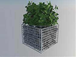 铁网花盆植物SU模型