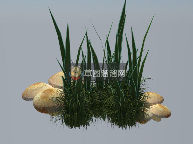 蘑菇小草草丛SU模型