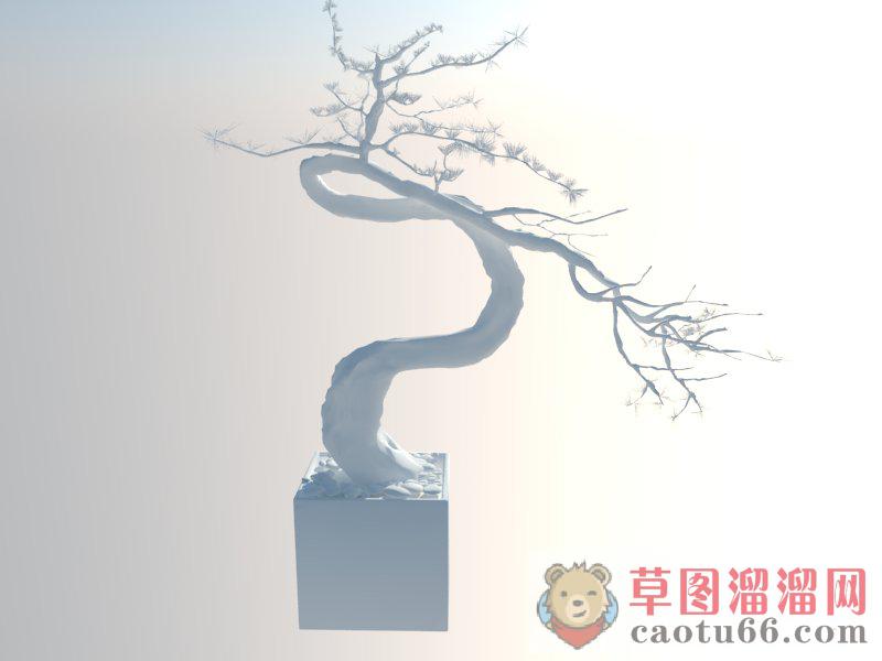 景观盆景松树SU模型