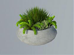 石质花盆植物SU模型 免费sketchup模型下载