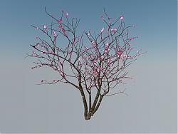 3D樱花树SU模型
