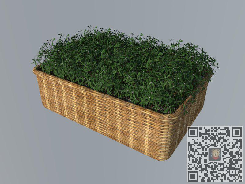 花箱植物藤制SU模型