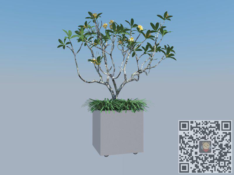 花盆植物盆栽SU模型