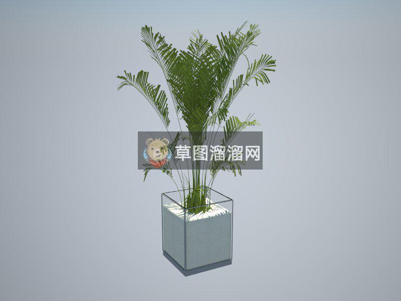 花盆植物室内SU模型