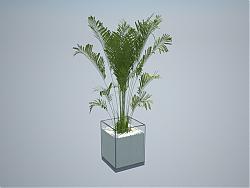 花盆植物室内SU模型 免费sketchup模型下载