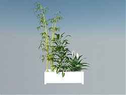 ]花箱植物竹子SU模型