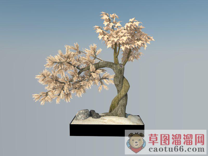 盆景盆栽装饰SU模型