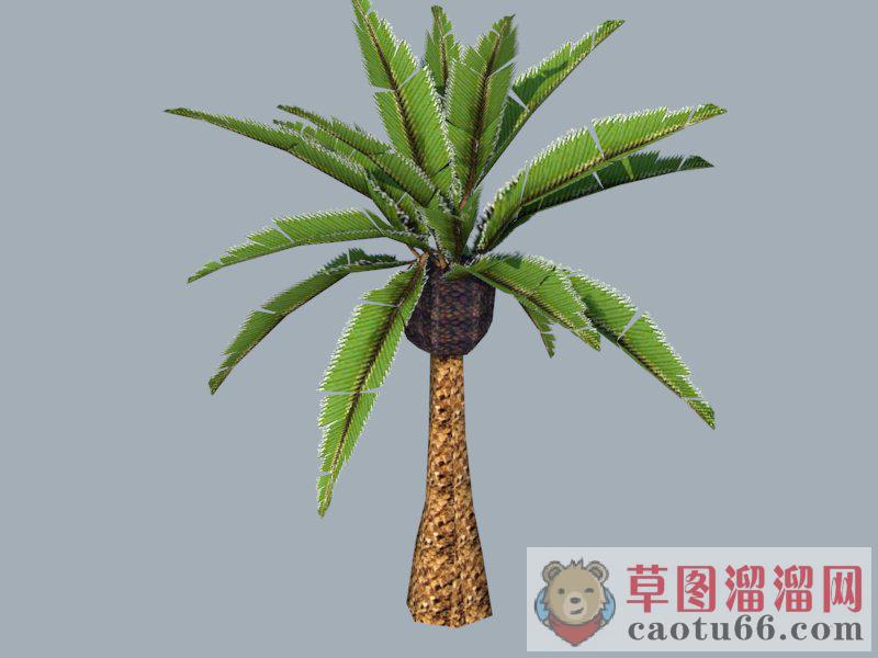 粽椰树SU模型