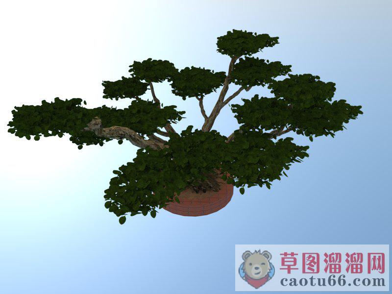 花盆盆栽植物SU模型