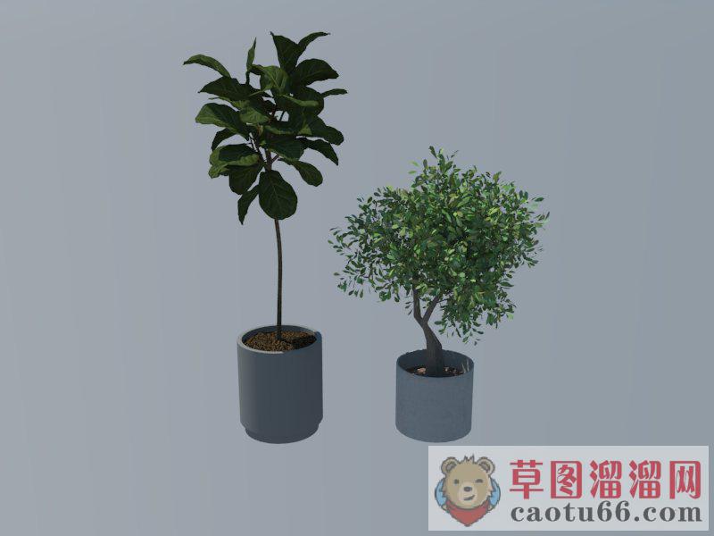 花盆植物盆栽SU模型