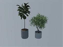 花盆植物盆栽SU模型