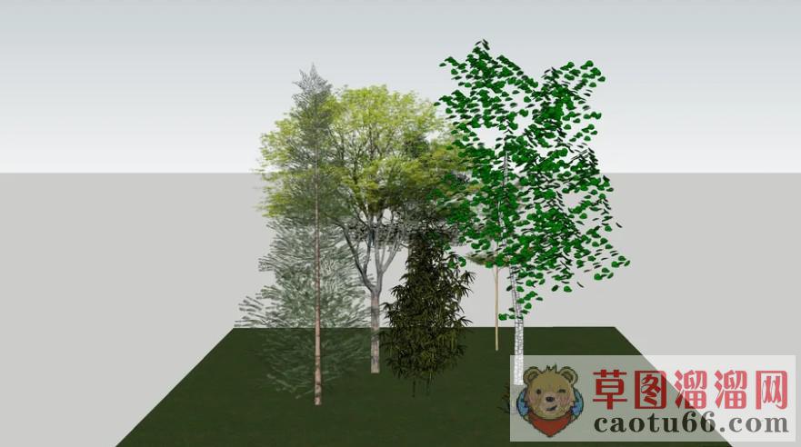 树SU模型