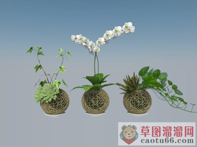 花篮植物盆栽SU模型