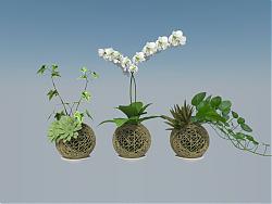 花篮植物盆栽SU模型