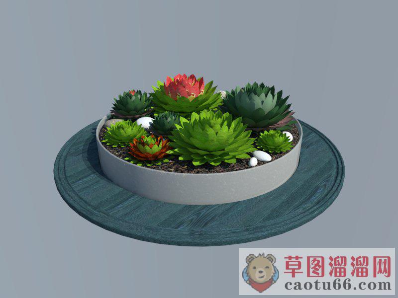 多肉植物花坛盆景SU模型