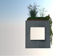 景观植物SU模型