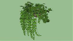 吊篮植物SU模型
