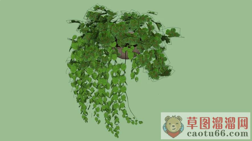 吊篮植物SU模型