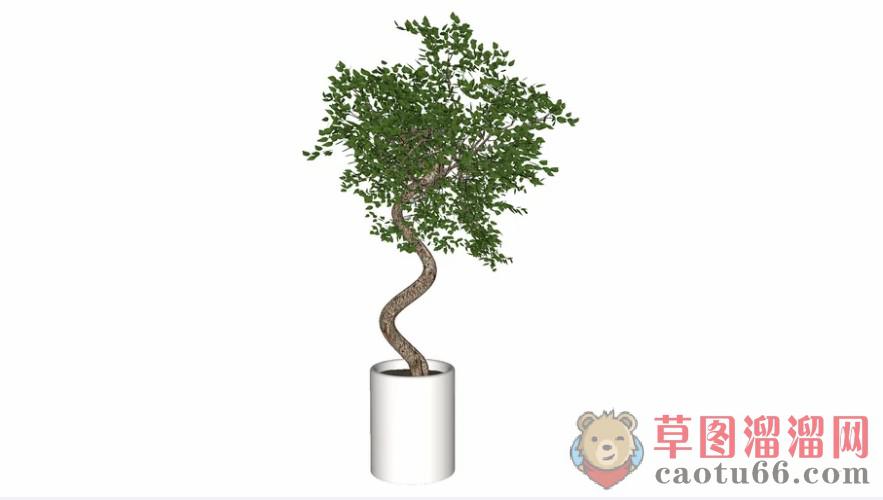 花盆盆栽植物SU模型
