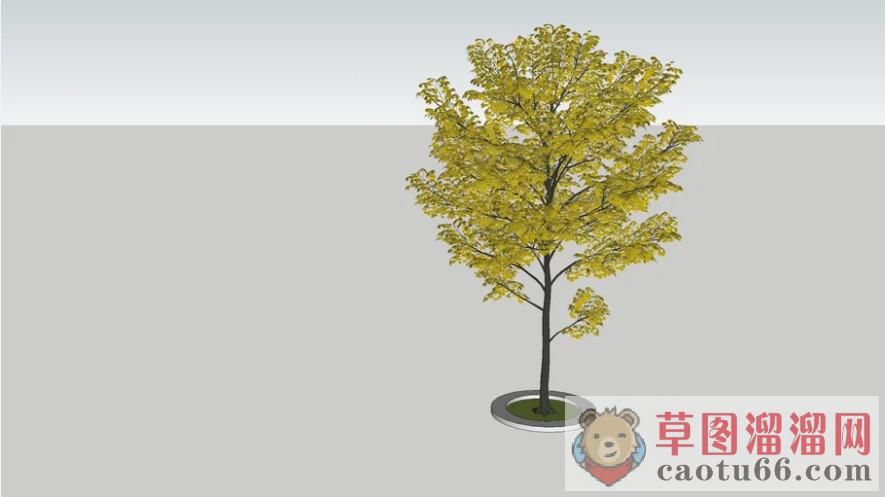 景观树SU模型