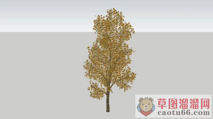 榆树SU模型