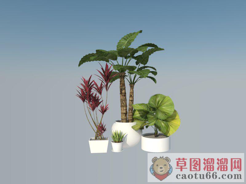 植物盆栽SU模型