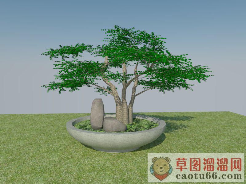 盆栽SU模型