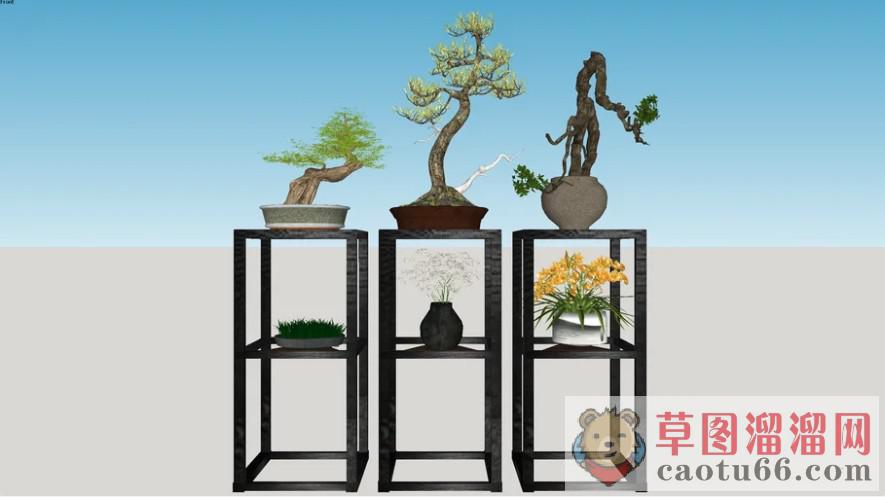 室内植物架迎客松SU模型