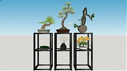 室内植物架迎客松SU模型