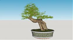 迎客松盆栽植物SU模型