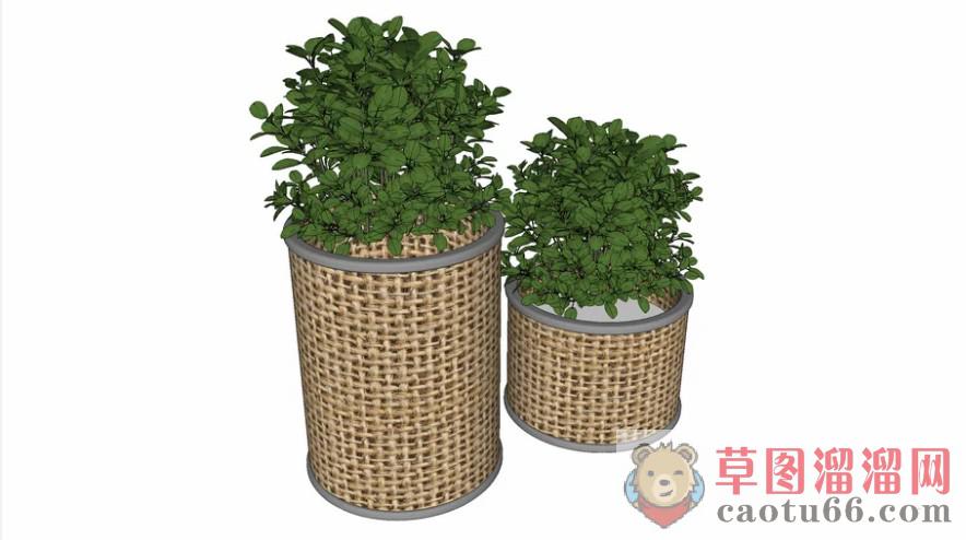 箩筐植物花盆SU模型
